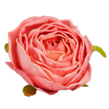 DC Rózsa fej 5,5cm - rózsaszín dekoráció