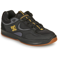 DC Shoes Rövid szárú edzőcipők KALYNX ZERO Fekete 42 férfi cipő