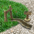 Deconline Fairy Garden Tündérkert figura szett Woodland Deconline Fairy Garden