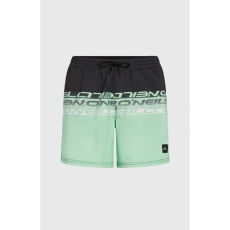 Default Oneill Short O'Neill Cali Stripe 16'' Swimshorts férfi