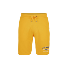 Default Oneill Short State Jogger Short férfi
