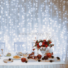 Dekorációs termékek DLF 400/WH - LED-es fényfüggöny, 2x2 m / 400 LED, sorolható, hidegfehér karácsonyfa izzósor