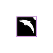  Delfin (csss0565) csillámtetoválás