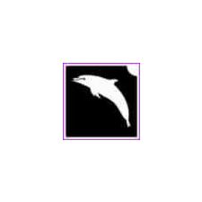 Delfin (csss0565) csillámtetoválás