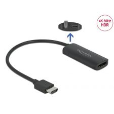 DELOCK Adapter HDMI-A male &gt; Displayport female kábel és adapter