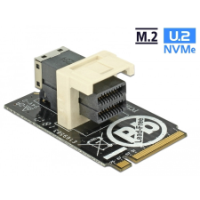 DELOCK Adapter M.2 Kulcs M > SFF-8643 NVMe horizontális 2242 kábel és adapter