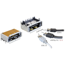 DELOCK Connector eSATApd Jack Bulkhead eSATApd + USB 2.0 (65297) kábel és adapter