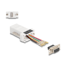 Delock D-Sub 9-tűs anya RJ45 anya összekötő adapter fehér kábel és adapter