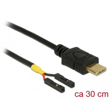 DELOCK Kábel USB Type-C apa &gt; 2 x tüskesori csatlakozó, anya, különálló teljesítmény, 30 cm kábel és adapter