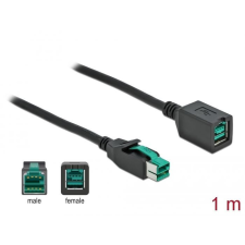 DELOCK Powered USB bővítőkábel 12V 1m (85980) kábel és adapter