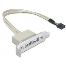 DELOCK - USB Pinheader -> 2db USB A F/F hátlapi kivezetés 0.5m kábel és adapter