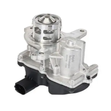 DELPHI AGR-szelep EG10752-12B1 autóalkatrész