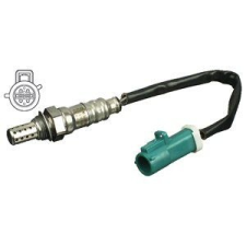 DELPHI Lambdaszonda DELPHI ES20517-12B1 üzemanyagszűrő