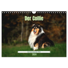  Der Collie der beste Hund der Welt (Wandkalender 2024 DIN A4 quer), CALVENDO Monatskalender – Yvonne Janetzek naptár, kalendárium