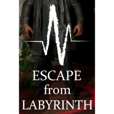 Dexied Games Escape from Labyrinth (PC - Steam elektronikus játék licensz) videójáték