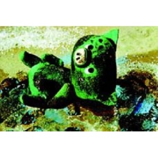 Diafilmgyártó : Mazsola fürdik diafilm - Diafilm gyermek- és ifjúsági könyv