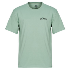 DICKIES Rövid ujjú pólók DICKIES SNAKE SS TEE Zöld EU L