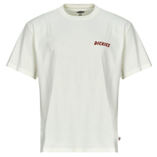 DICKIES Rövid ujjú pólók DRY RIDGE SS TEE EGRET Fehér EU XL férfi póló