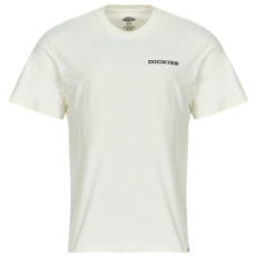 DICKIES Rövid ujjú pólók LANDASCAPE SS TEE Fehér EU M