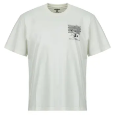 DICKIES Rövid ujjú pólók LYNNDYL SS TEE EGRET Fehér EU L férfi póló