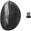 Dicota Relax Wireless Ergonomic Mouse Black (D31981)