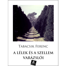 DIGI-BOOK A lélek és a szellem varázslói egyéb e-könyv