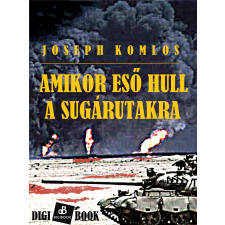 DIGI-BOOK Amikor eső hull a sugárutakra egyéb e-könyv