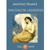 DIGI-BOOK Angyalok lázadása