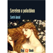 DIGI-BOOK Szerelem a palackban szépirodalom