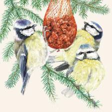 Dinner Time papírszalvéta 33x33cm,20db-os papírárú, csomagoló és tárolóeszköz