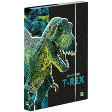 Dinoszaurusz füzetbox A/5, T-REX, zöld-fekete füzetbox