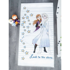Disney szőnyeg 80x150 - Jégvarázs - Anna és Elza lakástextília