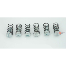 Diverse / Import Oldaldekni rögzítőcsavarok 12 darabos szett Piaggio Ciao, Bravo mopedhez egyéb motorkerékpár alkatrész