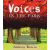 Dk Pub Voices in the Park | Anthony Browne