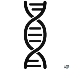  DNS Autómatrica matrica