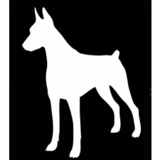 Dobermann autómatrica matrica