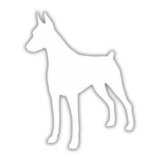  Dobermann autómatrica matrica