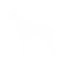  Dobermann kutya autó matrica fehér #182 matrica