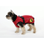 Dog Armor Kutya kabát 4XS  20 cm hosszúságú   Rovar-pajzs  Kutya ruházat