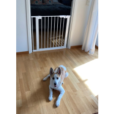  DogSpace Lassie nyomás rögzítő kapu rács  kutyáknak, 73-80cm cm fehér bababiztonság