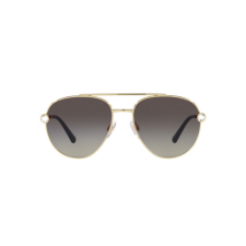 Dolce & Gabbana DG2283B 02/8G napszemüveg