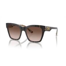 Dolce & Gabbana DG4384 321773 HAVANA ON WHITE BARROW BROWN GRADIENT napszemüveg