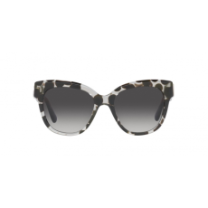 Dolce & Gabbana DG4407 33628G