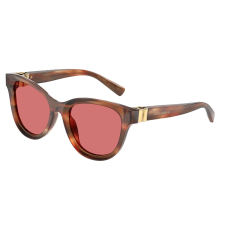 Dolce & Gabbana DG4533 322175 Striped Brown Red napszemüveg napszemüveg