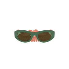 Dolce & Gabbana DG6174 3366/2 napszemüveg