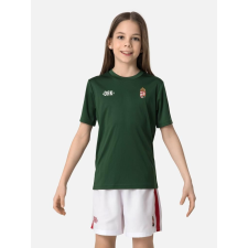 Dorko fiú póló champions t-shirt kids DT2488K____0312 gyerek póló