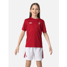Dorko fiú póló champions t-shirt kids DT2488K____0602