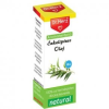 Dr. Herz Eukaliptusz illóolaj - 10ml