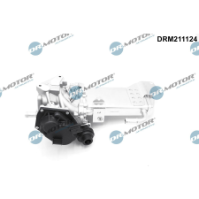 Dr.Motor AGR-szelep DR. MOTOR DRM211124 autóalkatrész