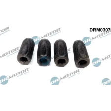 Dr.Motor Automotive Beszabályzó csavar, befecskendező szivattyú DRM0307 autóalkatrész